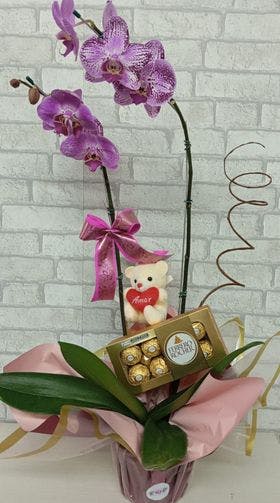 Orquídea pink embalda 03