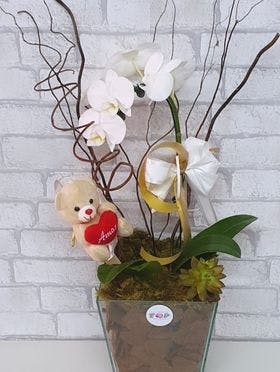 Orquídea luxo branca 02