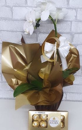 Orquídea embalada branca 01